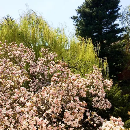 アパート Quiet In Tempelhof *