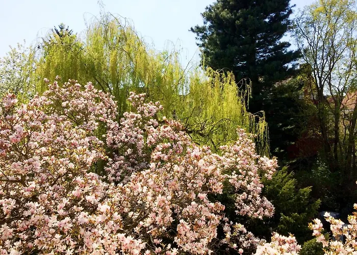 Apartman Quiet In Tempelhof *